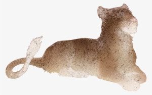 Aaahufl - Domestic Short-haired Cat #2280286