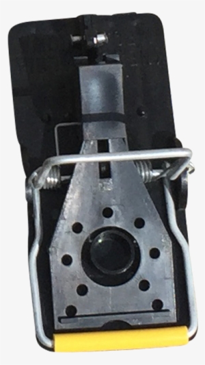 Mouse Snap Trap - Camera #2281241