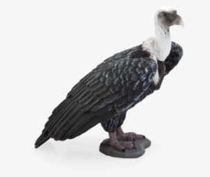 Griffon Vulture - Griffon Vulture Mojo #2281968