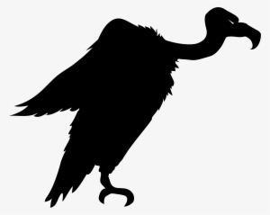 Big Image - Silhouette Of Vulture #2282018
