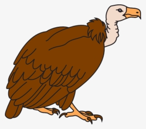 Colored Cartoon Vulture Tattoo On Bicep - Vulture Images Clip Art #2282461