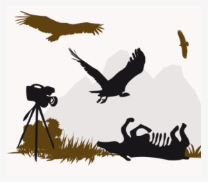Official Website Lago Di Cornino Natural Reserve - Vulture Silhouette #2282527