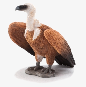 Animal Planet: Griffon Vulture #2282614