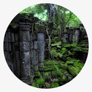 Transient Ruins - Dżungla Ruiny #2282615