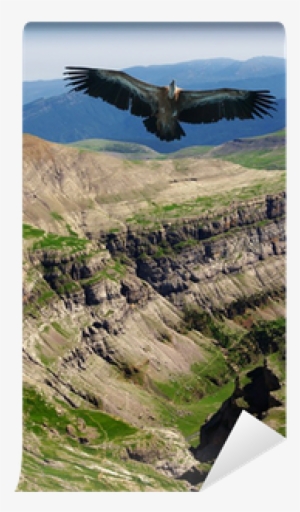 Ordesa Y Monte Perdido National Park, Valle De Ordesa #2282668