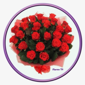 Imagen De Destello - Boa Tarde Irmã Querida #2283055