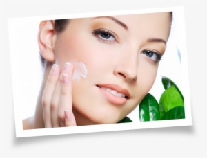 Mogador Argan Oil Night Cream Normal To Dry #2283934