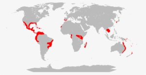 Global Distribution Of Lantana Camara - Rat Population In Alberta #2285271
