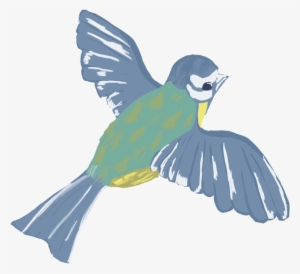 For People From Other Path Than 2d The Task Was To - Chickadee #2285274