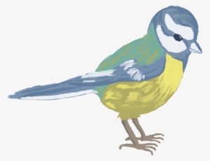 For People From Other Path Than 2d The Task Was To - Green Jay #2285315