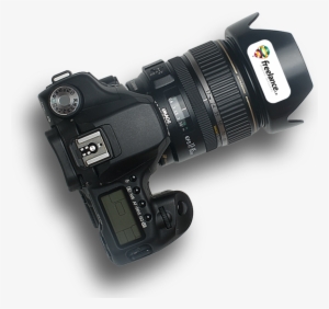 Need - Apple Lightning To Sd Card Camera Reader (mjyt2am/a) #2285552