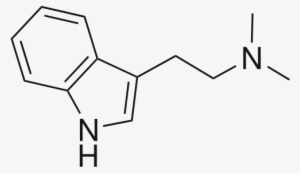 Dmt Tattoo - Dmt Molecule Png #2285914 Dmt Tattoo - Dmt Molecule Png #2285914
