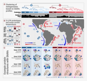 Murat Eren, Department Of Medicine, University Of Chicago - Metagenomics Experimental Design #2286546