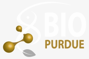 Biological Sciences Logo 2017 Grey Leaf White And Gold-640x423 - Purdue Biology #2286928
