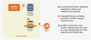 Actifio For Sap Hana - Actifio #2286948