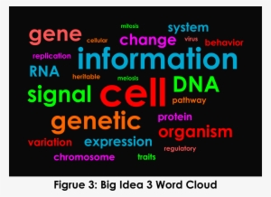 Big Idea 3 Word Cloud - Big Biology Words #2287175