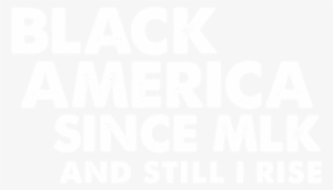Black America Since Mlk #2288030