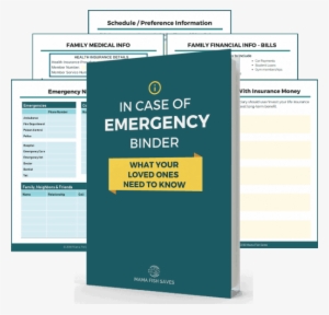 Vicki Cook - Budget #2288092