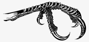Bird Icons Png Free - Bird Claw Png #2288226