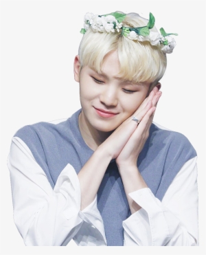 Woozi Seventeen - Woozi Seventeen Stickers Png #2288463