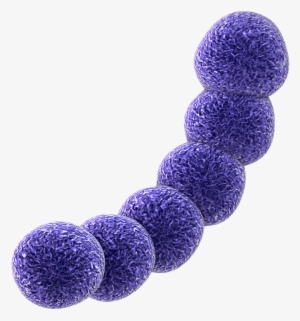 Simplexa Group B Strep Direct Kit - Diasorin Molecular Llc #2289571