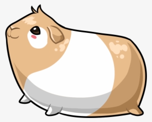 Guinea Pig - I Love Guinea Pigs #2290025