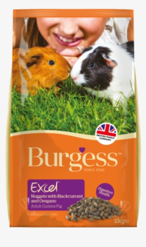 Burgess Excel Tasty Nuggets For Guinea Pig With Oregano - Burgess Excel Guinea Pig Blackcurrant Oregano #2290117