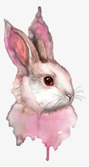 Watercolour Animals Transparent Background #2290234