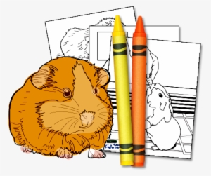 Download Activity Kit - Cartoon #2290277