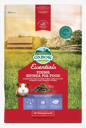 10 Lb - Oxbow Young Guinea Pig Food #2290296