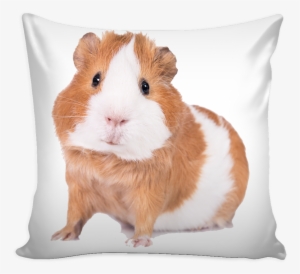 Guinea Pig Pillow Cover - I M Living My Best Life #2290330
