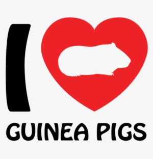 Love Guinea Pigs - Guinea Pig Shirt #2290455