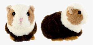 The Guinea Pig Flower Shop Studio Flores - Bukowski Hamster #2290678