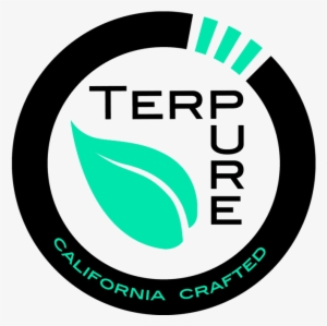 Banana Cream Og Shatter- Terpure - Indian Shirt Brand Logos #2290969