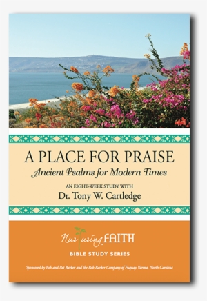 A Place For Praise - Place For Praise By Tony Cartledge #2292229