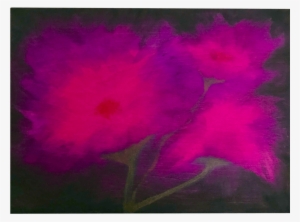 Raspberry-beret #2292759