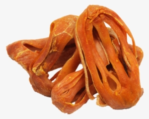 Mace-500× - Mace Nutmeg #2292924