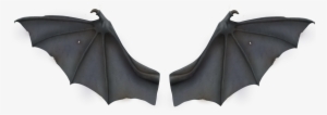 Stock Wing Development Flight Clip Art Gray Transprent - Bat Wings Transparent #2293421