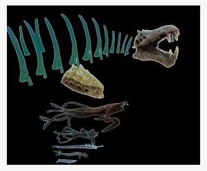 Gargantuan Mofo - Wiki #2295631