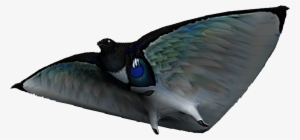 Skyray Fauna - All The Fishes From Subnautica #2295651