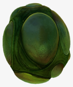 Eggs - Handbag #2295694