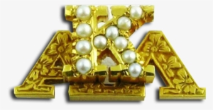 Alpha Kappa Lambda - Badge #2296383