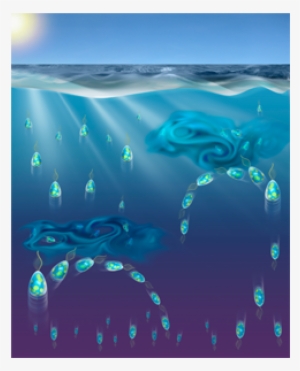 Phytoplankton Can Actively Diversify Their Migration - Turbulent Plankton #2296625