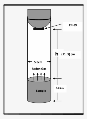 Shows A Test Tube Technique Used In The Study - Diagram #2296667