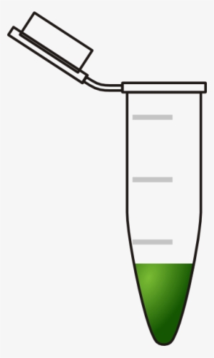 This Free Clipart Png Design Of Test Tube Clipart Has #2296753