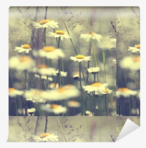 Wednesday Crosswords: Word Masters Edition Vol 3 #2296952