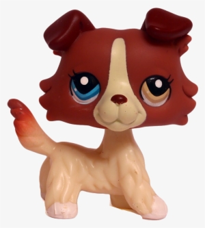 Lps Collie Freetoedit - Lps Collie With Different Colored Eyes #2297137