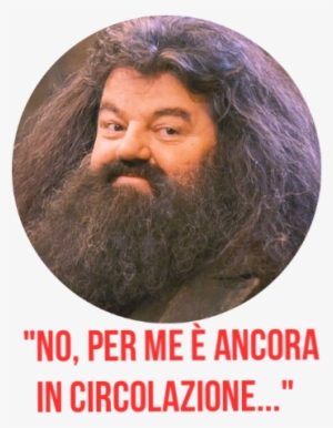 Model Image T Shirt #2298532