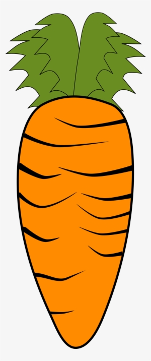Clipart Carrot - Morcov Clipart #230097
