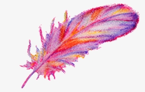 Watercolor Painting Feather Transparent Decorative - Watercolor Painting #230171